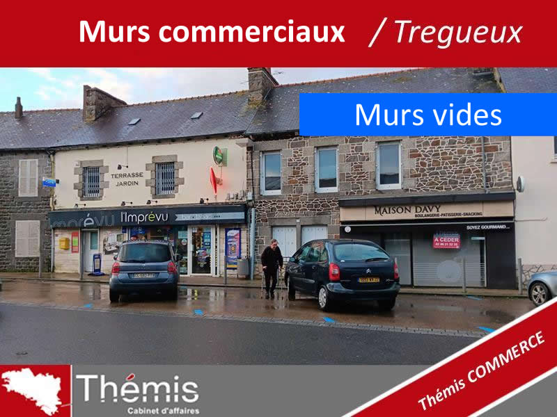 A vendre murs commerciaux vides Tregueux
