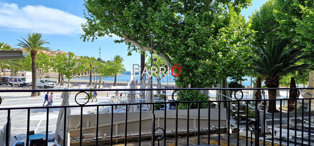 Appartement Banyuls-sur-Mer, terrasse vue mer
