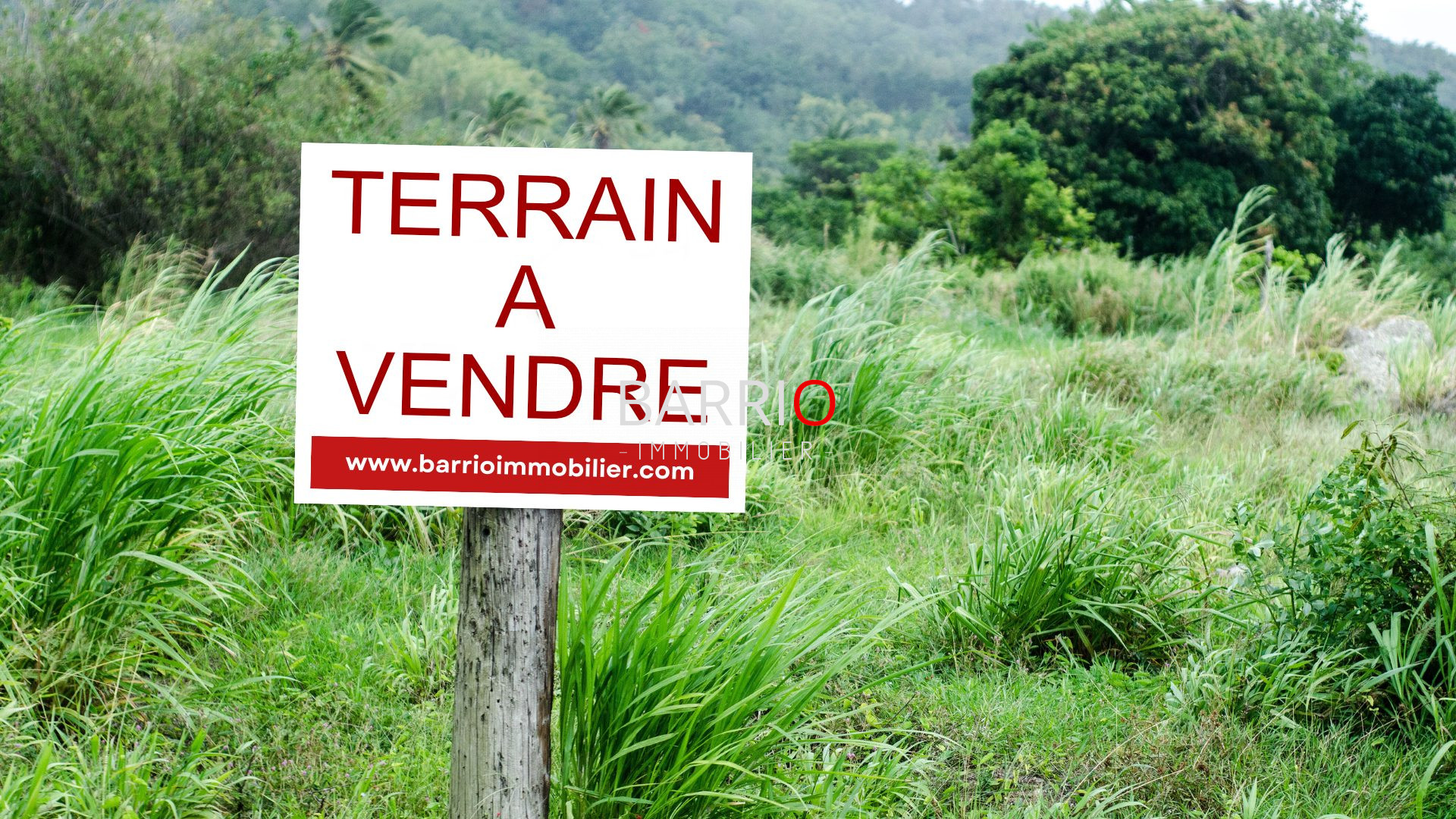LAROQUE-DES-ALBERES : Terrain de loisir de 1800 m²