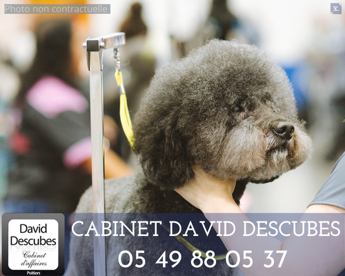 Fonds de commerce à vendre - Beauté et bien-être - Poitiers (86000) - 32 200 €