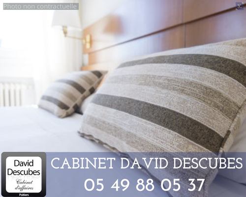 Fonds de commerce à vendre - Hôtellerie - Mouilleron-Le-Captif (85000) - 1 21...