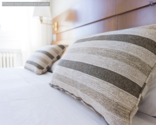 Fonds de commerce à vendre - Café - Hôtel - Restaurant - Beillé (72160) - 110...