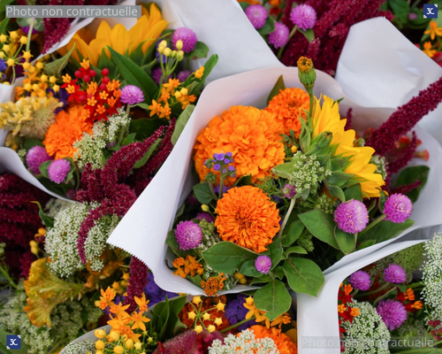 FLEURISTE